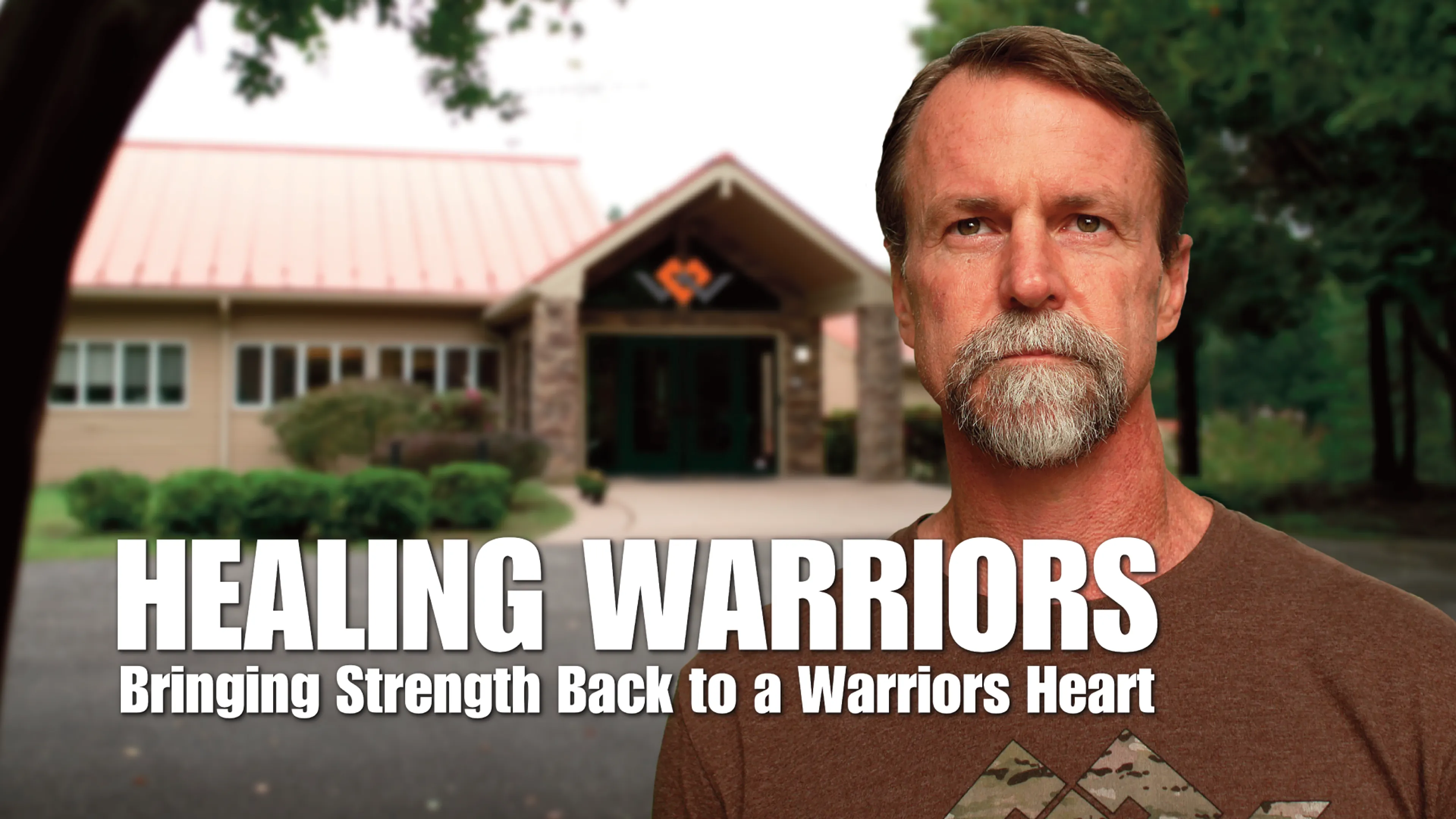 Healing Warriors: Bringing Strength Back to a Warriors Heart poster